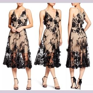 NWT $298 Dress the Population‎ [ XS ] Audrey Embroidered Fit Flare Dress